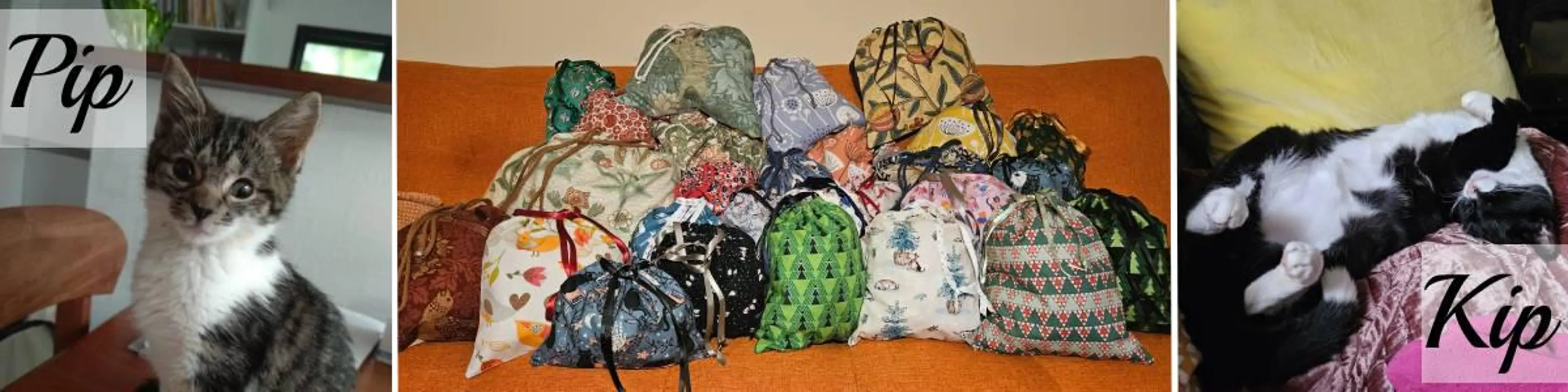 Our two cats and the bags we produce.